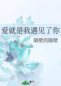爱就是我遇见了你